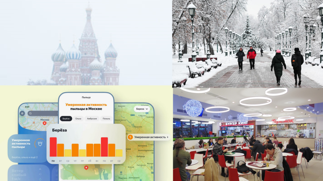 Весенний калейдоскоп: возвращение снега, нашествие клещей, аллергены от Яндекса и юные &laquo;фудкортницы&raquo;