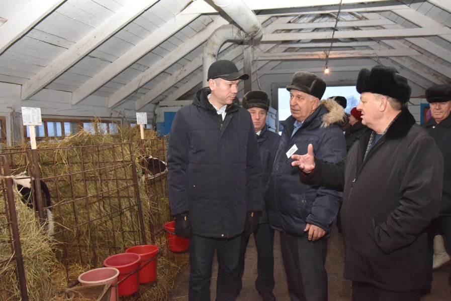 Великий исход: буренок уничтожали только в личных хозяйствах, и делали это не просто так