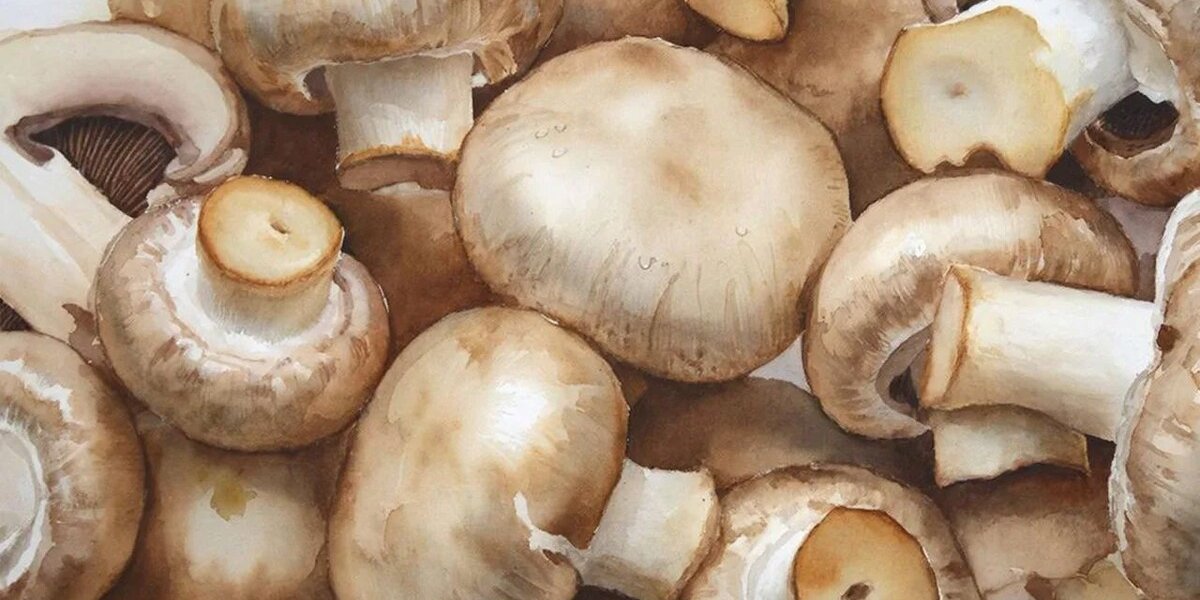 Россия установила новый рекорд по экспорту шампиньонов в 2025 году