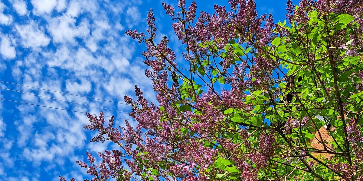 Летний снег России не грозит: климатолог Чернокульский опроверг прогнозы о похолодании