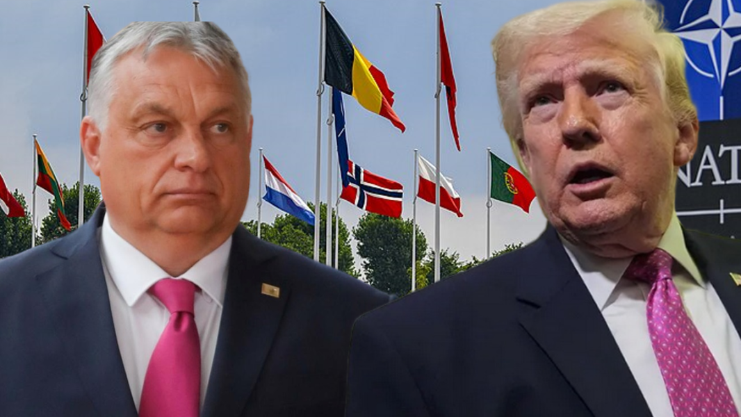 Почему Трамп разочаровался в НАТО, Иран сомневается в ДНЯО, а Брюссель боится победы Орбана