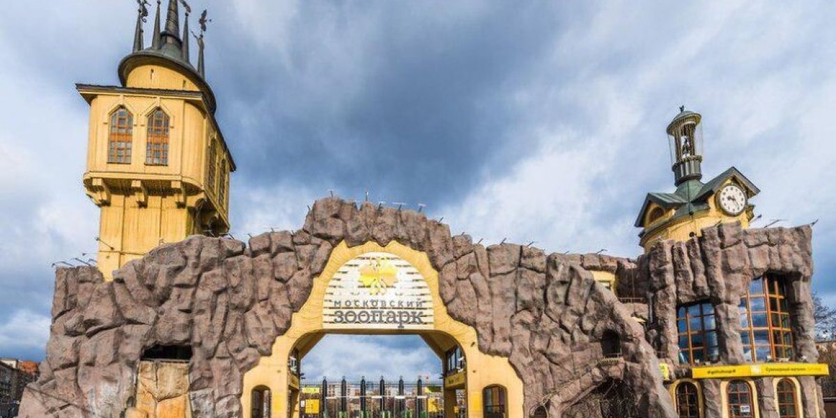 Популярность онлайн-трансляций Московского зоопарка: новый формат взаимодействия с посетителями