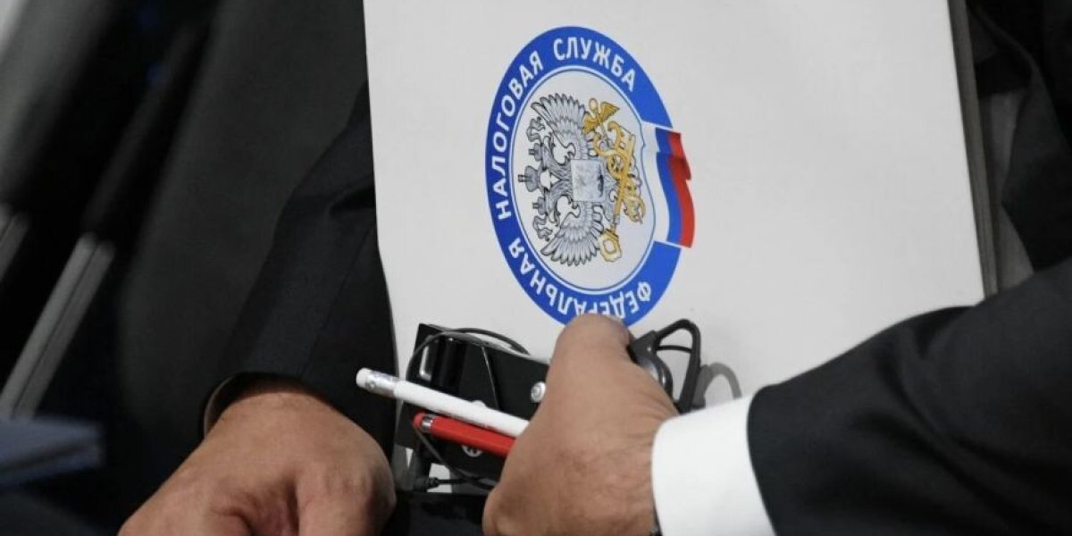 Три процента страны: кому налоговики заглянут в кошелёк за переводы физлицам