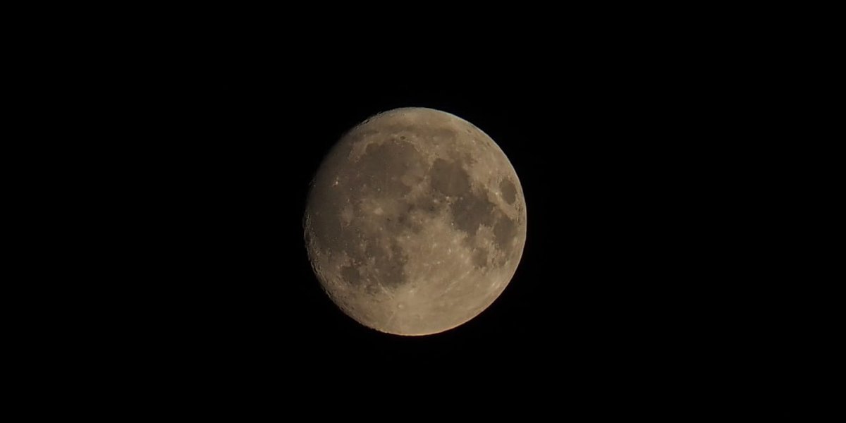 Одним ударом двух зайцев: Россия неожиданно отреагировала на полет американцев к Луне