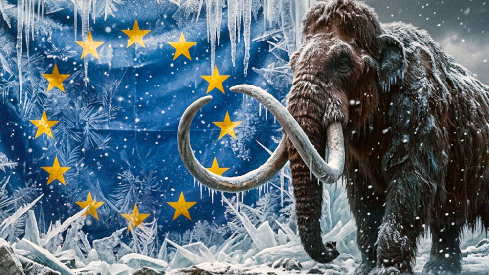 Европа доигралась: газа почти нет, а признаться страшно