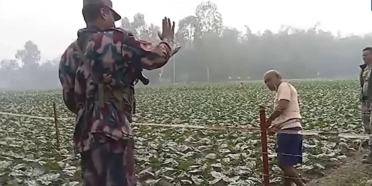 Индия намерена дополнить пограничников на границе с Бангладеш рептилиями Индия намерена дополнить пограничников на границе с Бангладеш рептилиями