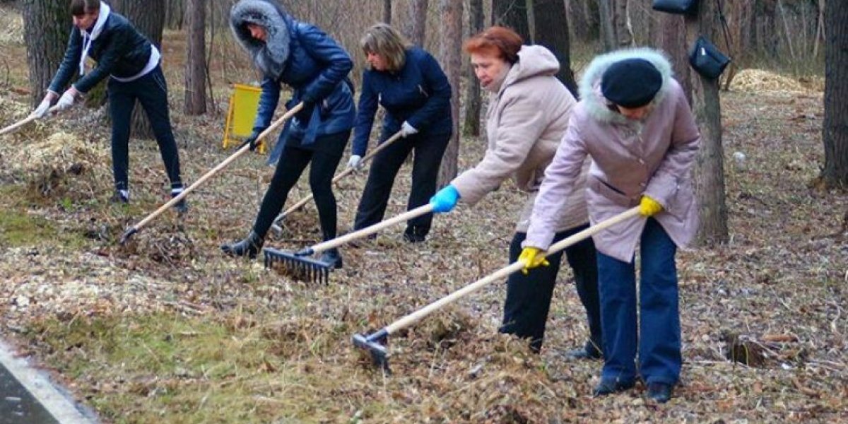 Всероссийский субботник: день, который объединил миллионные города и деревни