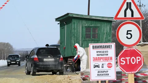 Фейковая благодарность: "фермеры", потерявшие скот, благодарят власти Фейковая благодарность: "фермеры", потерявшие скот, благодарят власти