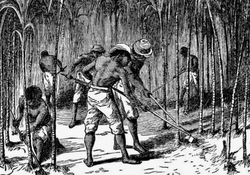 Зачем Д.Вашингтон запретил чернокожим служить в Армии США в 1775 году и какой урок из этого можно извлечь