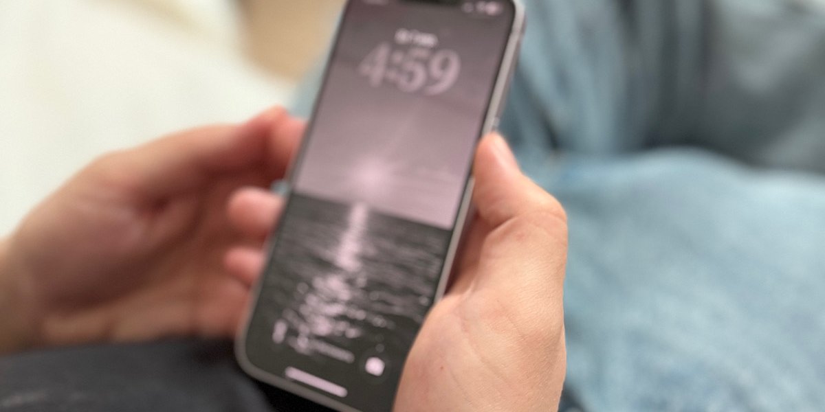 ФСБ: отказ разблокировать гаджет на границе грозит штрафом и арестом до 15 суток