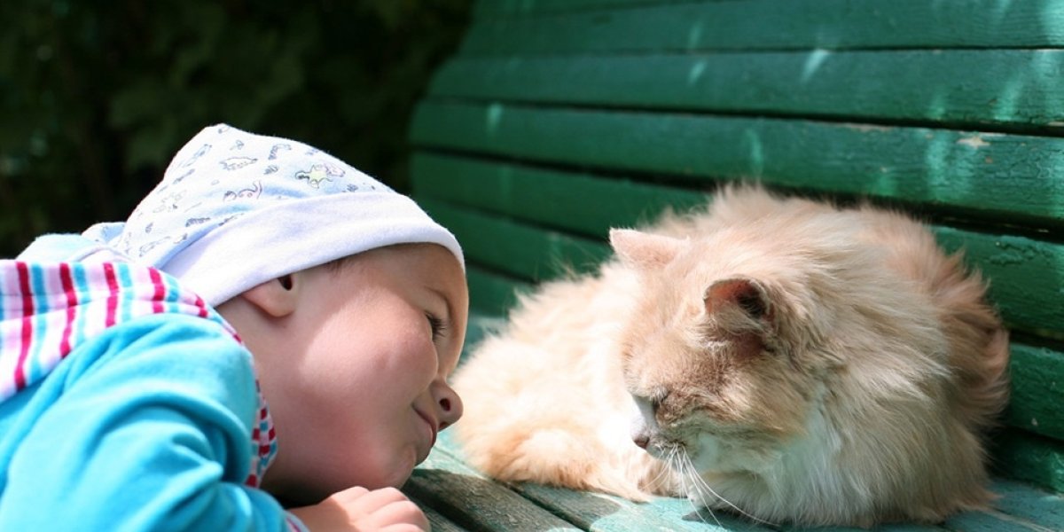 В Госдуме предложили сделать скамейки у подъездов обязательными