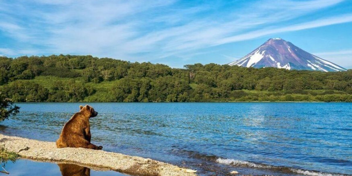 Дальний Восток к 2036 году: вдвое больше туристов и новые заводы