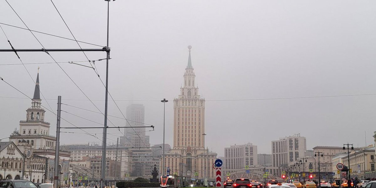Синоптик Паршина ответила, когда в Москве растает снег