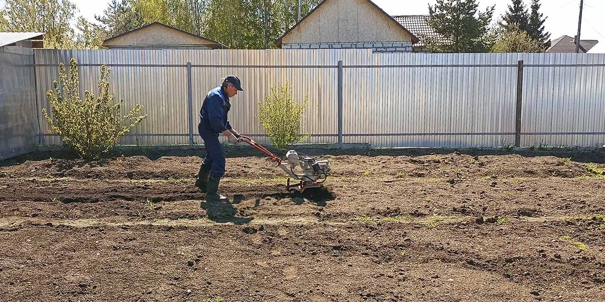 В Роспотребнадзоре предупредили дачников об инфекции, от которой нет вакцины