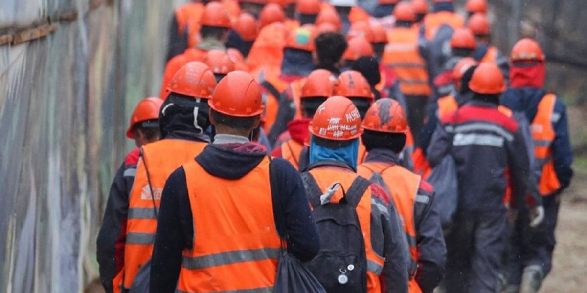 &laquo;Мигранты не спасут экономику, нужны роботы&raquo;: в Госдуме хотят снизить зависимость от дешёвой рабочей силы