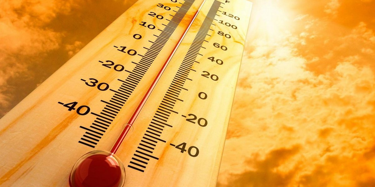 До +52 на солнце: в Светлогорске зафиксировали аномальную жару