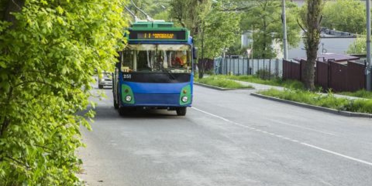 Отсутствие рук или ног исключили из противопоказаний для водителей автобусов в России Отсутствие рук или ног исключили из противопоказаний для водителей автобусов в России