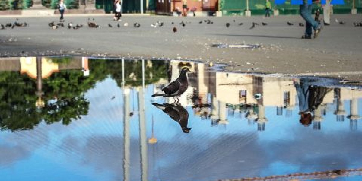 Приморье окажется между двумя циклонами в начале недели Приморье окажется между двумя циклонами в начале недели