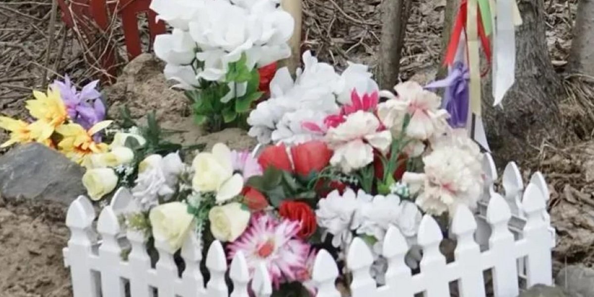«Чужое горе — сомнительная эстетика»: Мизулина осудила рекламу Насти Мироновой «Чужое горе — сомнительная эстетика»: Мизулина осудила рекламу Насти Мироновой