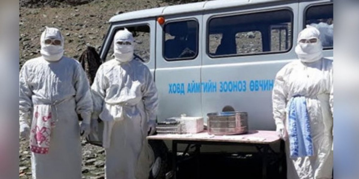 Чума в Монголии 2026: активный очаг бубонной чумы выявлен в Завханском аймаке у границ России и Китая — что известно Чума в Монголии 2026: активный очаг бубонной чумы выявлен в Завханском аймаке у границ России и Китая — что известно