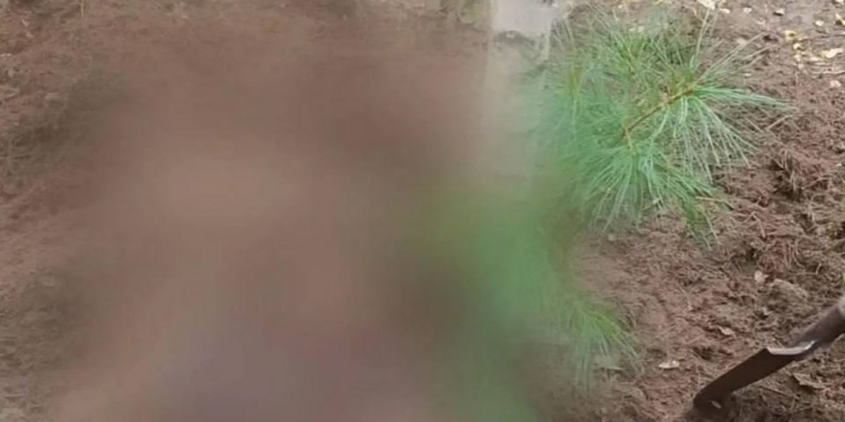 Медведь загрыз двух женщин, собиравших грибы в Красноярском крае