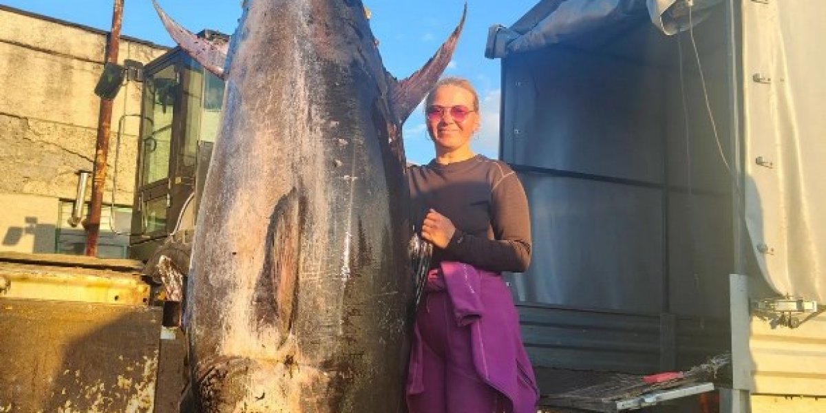Рекордного тунца весом 285 кг поймали на Сахалине: «мать тунцов» побила рекорд Дальнего Востока Рекордного тунца весом 285 кг поймали на Сахалине: «мать тунцов» побила рекорд Дальнего Востока
