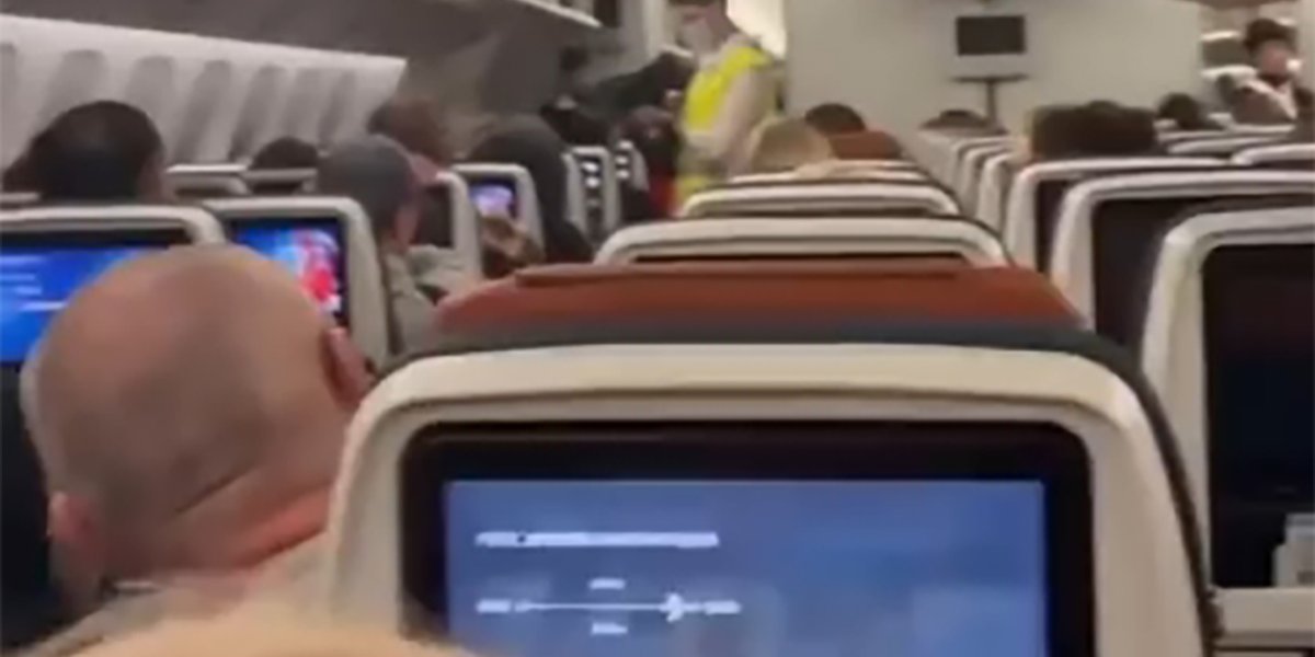 Сеть &laquo;взорвало&raquo; видео из самолёта: бортпроводница встала на колени перед пассажиром после раздачи напитков (ФОТО)