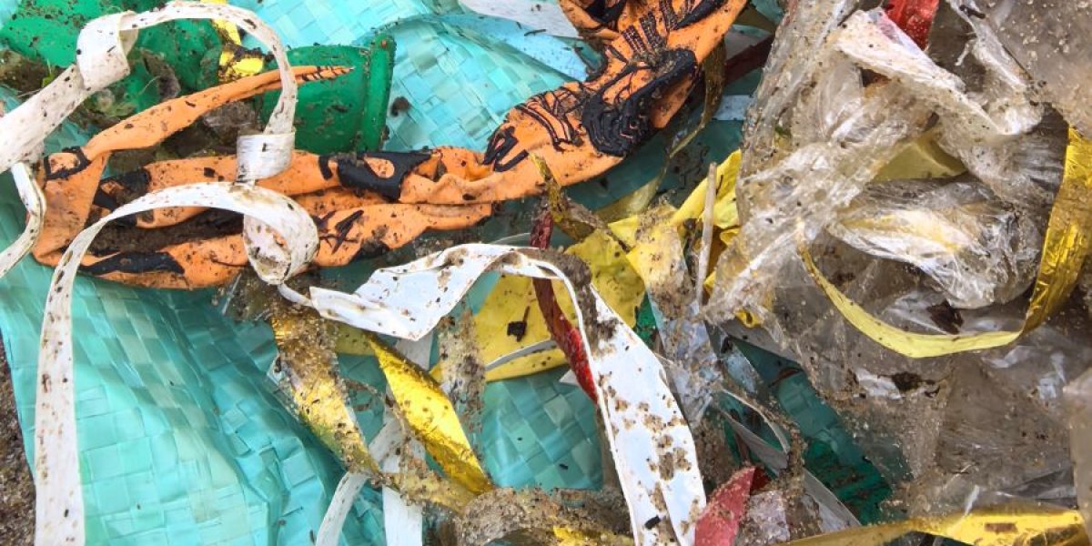 Воздушные шары на Ладоге: в Нижне-Свирском заповеднике нашли скопление мусора на берегу Воздушные шары на Ладоге: в Нижне-Свирском заповеднике нашли скопление мусора на берегу